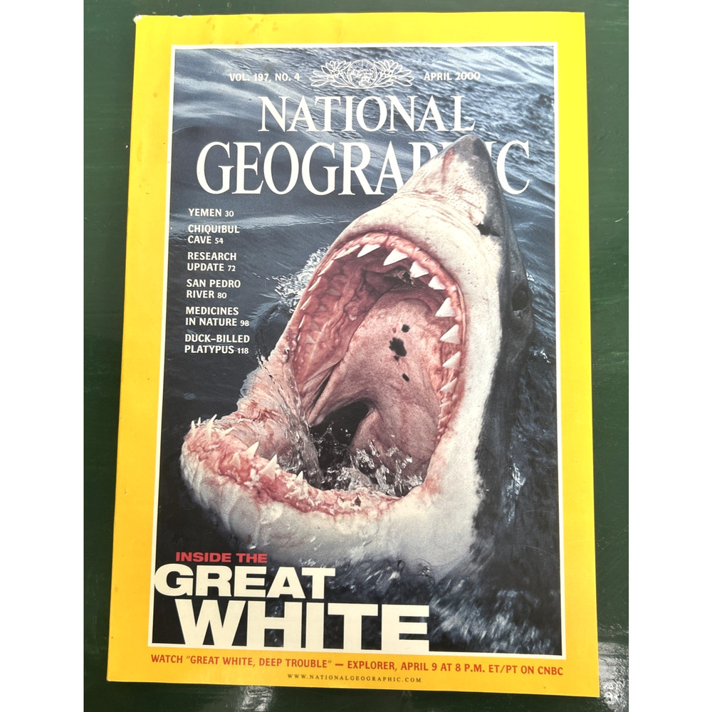 National Geographic Magazine April 2000 Great White Yemen Natural Medicine READ